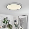 Finsrud Plafondpaneel LED Zilver, 1-licht