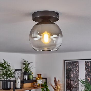 Koyoto  Hanger Glas 15 cm Duidelijk, Rookkleurig, 1-licht