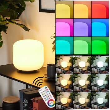 iDual Thyme Tafellamp LED Nikkel mat, 1-licht, Afstandsbediening, Kleurwisselaar