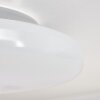 iDual Chloe Plafondlamp LED Zilver, Wit, 1-licht, Afstandsbediening, Kleurwisselaar