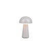 Reality Lennon Tafellamp voor buiten LED Grijs, 1-licht