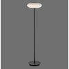 Paul Neuhaus Q-ETIENNE Staande lamp LED Zwart, 1-licht, Afstandsbediening