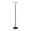 Paul Neuhaus Q-ETIENNE Staande lamp LED Zwart, 1-licht, Afstandsbediening