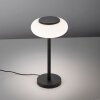 Paul Neuhaus Q-ETIENNE Tafellamp LED Zwart, 1-licht, Afstandsbediening
