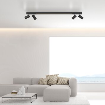 Paul Neuhaus PURE-LINES Plafondlamp LED Antraciet, 1-licht, Afstandsbediening