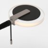 Steinhauer Turound Uplighter LED Zwart, 2-lichts