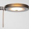 Steinhauer Turound Uplighter LED Staal geborsteld, 2-lichts