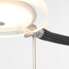 Steinhauer Turound Staande lamp LED Staal geborsteld, 1-licht