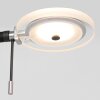 Steinhauer Turound Staande lamp LED Zwart, 1-licht