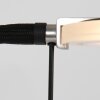 Steinhauer Turound Staande lamp LED Zwart, 1-licht