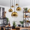 Koyoto  Hanger Glas 15 cm, 20 cm, 25 cm, 30cm Goud, Duidelijk, 5-lichts