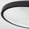 Tagsdorff Plafondlamp LED Zwart, Wit, 1-licht