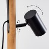 Arbrentin Staande lamp Natuurlijke kleuren, Zwart, 3-lichts