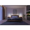 Philips Hue Gradient Signe Oak Staande lamp LED Natuurlijke kleuren, Wit, 1-licht, Kleurwisselaar