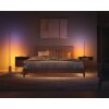 Philips Hue Gradient Signe Oak Tafellamp LED Natuurlijke kleuren, Wit, 1-licht, Kleurwisselaar