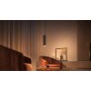 Philips Hue Perifo Hanger LED Zwart, 1-licht, Kleurwisselaar