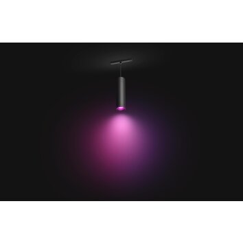 Philips Hue Perifo Hanger LED Zwart, 1-licht, Kleurwisselaar