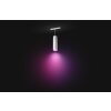Philips Hue Perifo Hanger LED Wit, 1-licht, Kleurwisselaar