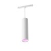 Philips Hue Perifo Hanger LED Wit, 1-licht, Kleurwisselaar