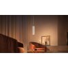 Philips Hue Perifo Hanger LED Wit, 1-licht, Kleurwisselaar