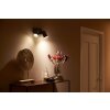 Philips Hue Fugato Plafondlamp LED Zwart, 2-lichts, Kleurwisselaar