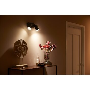 Philips Hue Fugato Plafondlamp LED Zwart, 2-lichts, Kleurwisselaar