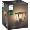 Philips Hue White Inara Buiten muurverlichting LED Zwart, 1-licht
