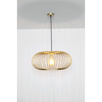 Holländer PROTETTO Hanglampen Goud, 1-licht