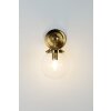 Holländer MOLTIPLICATORE Muurlamp Goud, Messing, 1-licht