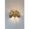 Holländer GINGKO Muurlamp Goud, 2-lichts