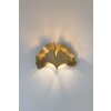 Holländer GINGKO Muurlamp Goud, 2-lichts
