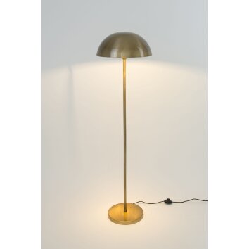Holländer FUNGO Staande lamp Goud, 1-licht
