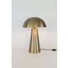 Holländer FUNGO Tafellamp Goud, 1-licht