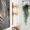 Rascoupet Muurlamp Goud, 2-lichts
