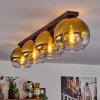Koyoto  Plafondlamp Glas 25 cm Goud, Duidelijk, 4-lichts