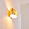 Rapar Muurlamp Chroom, Goud, 1-licht