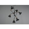 Trio Roxie Hanglamp Messing, Zwart, 6-lichts