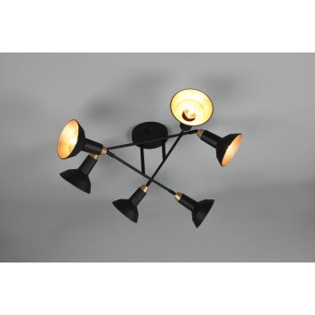 Trio Roxie Plafondlamp Zwart, 6-lichts