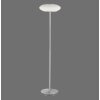 Paul Neuhaus Q-ETIENNE Staande lamp LED Staal geborsteld, 1-licht, Afstandsbediening