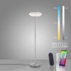 Paul Neuhaus Q-ETIENNE Staande lamp LED Staal geborsteld, 1-licht, Afstandsbediening