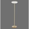 Paul Neuhaus Q-ETIENNE Staande lamp LED Messing, 1-licht, Afstandsbediening