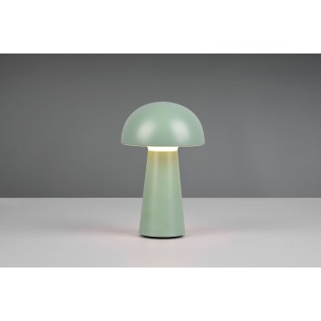 Reality Lennon Tafellamp voor buiten LED Groen, 1-licht