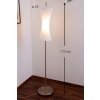 Ideallux ELICA PT1 Staande lamp Nikkel mat, 1-licht