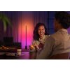 Philips Hue Gradient Signe Staande lamp LED Zwart, 1-licht