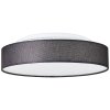 Brilliant Penley Plafondlamp LED Wit, 1-licht, Afstandsbediening