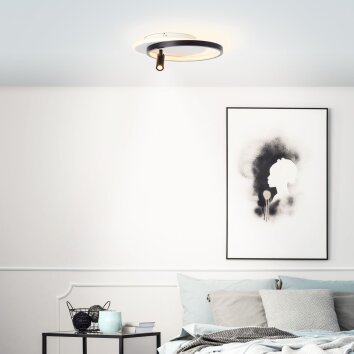 Brilliant Eunomia Plafondlamp LED Zwart, Wit, 1-licht