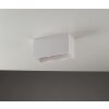 Luce Design Foster Plafondlamp kan worden geverfd met in de handel verkrijgbare verven, Wit, 2-lichts