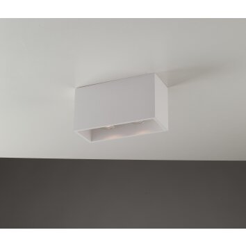 Luce Design Foster Plafondlamp kan worden geverfd met in de handel verkrijgbare verven, Wit, 2-lichts