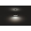 Philips Hue Fair Hanglamp LED Zwart, 1-licht, Afstandsbediening