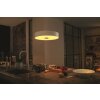 Philips Hue Fair Hanglamp LED Wit, 1-licht, Afstandsbediening